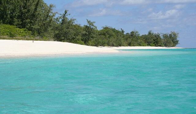 Why Timor-Leste joined ASEAN – Engelsberg Ideas