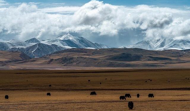 Annual Taipei march to mark 1959 Tibetan uprising, protest repression – Focus Taiwan
