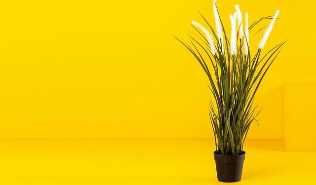 Thai PM says no ceasefire with Cambodia, more attacks, despite Trump claim – Al Jazeera