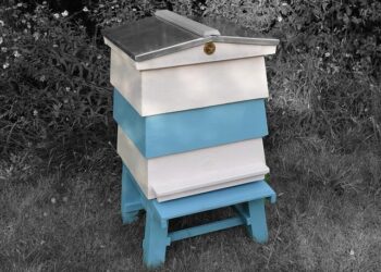 Decisive Hit to Decide South Korea-Japan WBC Clash – 조선일보