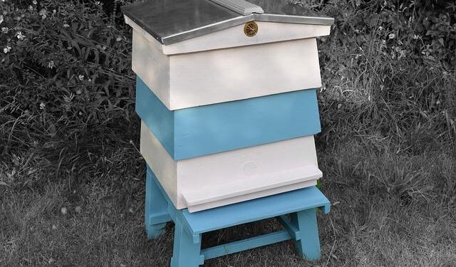 Decisive Hit to Decide South Korea-Japan WBC Clash – 조선일보