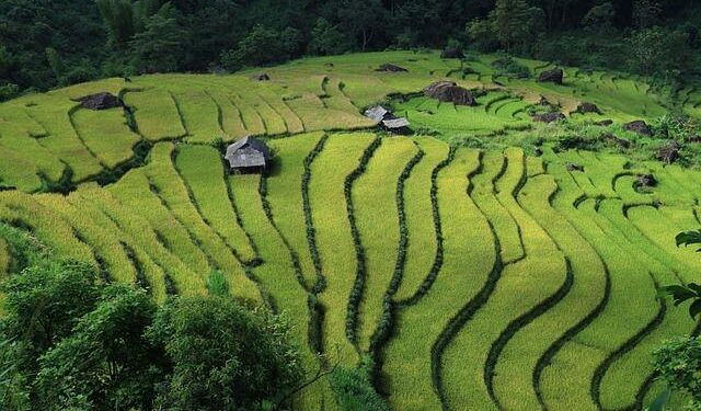 Vietnam enacts Southeast Asia’s first national AI law – Yahoo News Australia