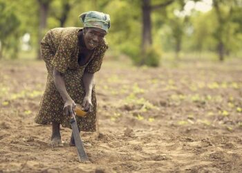 Ghana peacekeeping battalion hit by missile attacks in Lebanon, Ghana army says – Reuters