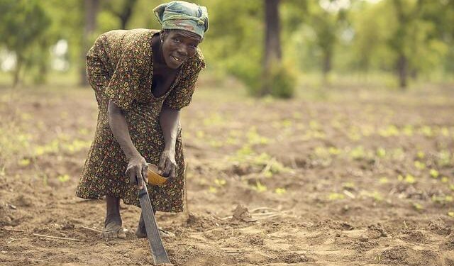 Ghana peacekeeping battalion hit by missile attacks in Lebanon, Ghana army says – Reuters