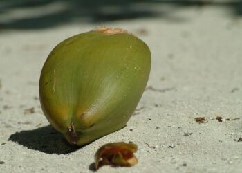 Maldives bans smoking for younger generations – BBC