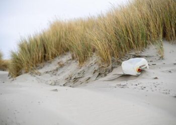 New $12.5 million mess hall funded by South Korea serves rotating US Marines – Stars and Stripes