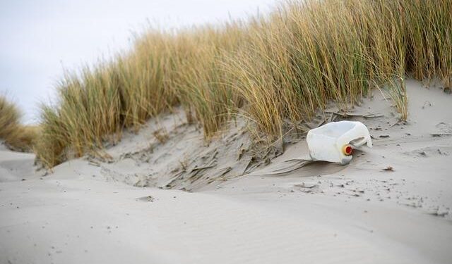 New $12.5 million mess hall funded by South Korea serves rotating US Marines – Stars and Stripes