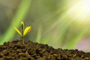 Strengthening Sustainability of Creative Industries in Lao PDR – UNESCO