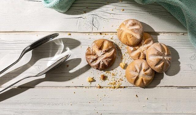 Japan SDF plane leaves to help citizens evacuate from Middle East | NHK WORLD-JAPAN News – nhk.or.jp