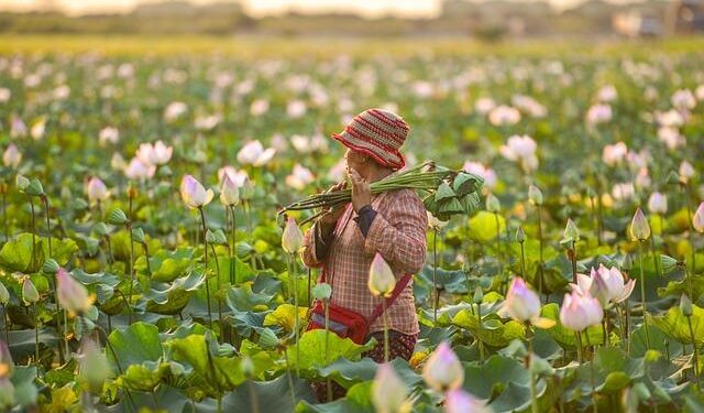 Cambodia ramps up global awareness with fam trips and new strategy – TravelMole