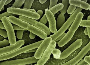 Training Course on Pathogen Detection and Biosecurity for experts from Central Asia and Mongolia at ICGEB in Italy – UNODA