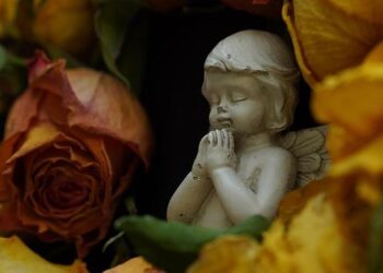 ASIA/YEMEN – Bishop Martinelli on the 10th anniversary of the attack on the Missionaries of Charity Sisters: “Witnesses to Christ’s charity” – Agenzia Fides