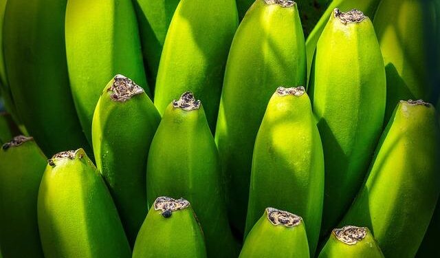 Turkey’s naval exports make waves in Southeast Asia – Asian Military Review