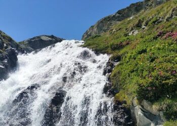 Tale Of Two Protests: How Balen Shah Trumped In Nepal, But Bangladesh’s Students’ Party Failed – NDTV