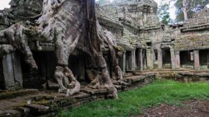 Preah Vihear Temple Damaged in Cambodia-Thailand Conflict, UNESCO Site at Risk – Daily Pioneer