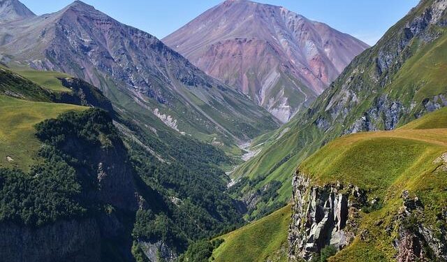 Georgia woman charged with murder after police say she used pill to induce abortion – nbcmiami.com