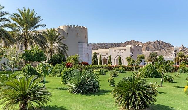 EXCLUSIVE | Oman rejects political angle to Asia Cup hockey withdrawal – Telecom Asia Sport