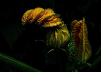 What “Cheap” Living Really Cost Me After 16 Years in Thailand – International Living