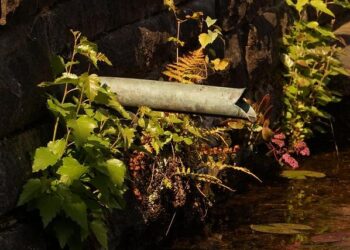 Remittance inflow grows 20.8pc till April 1 – Bangladesh Sangbad Sangstha (BSS)