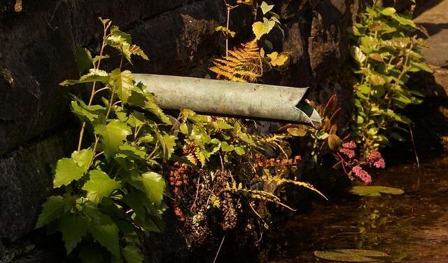 Remittance inflow grows 20.8pc till April 1 – Bangladesh Sangbad Sangstha (BSS)