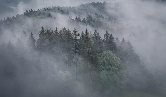 Drone attack targets Kuwait airport, fuel tanks on fire: aviation agency – Arab News