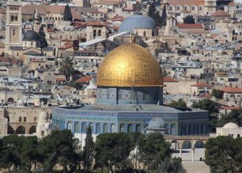 Omar Livaza wins bronze at boxing tournament in Turkey – AKIpress News Agency