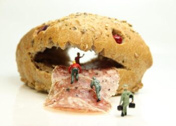 Wolf escapes zoo sparking huge search and school closure – The Independent