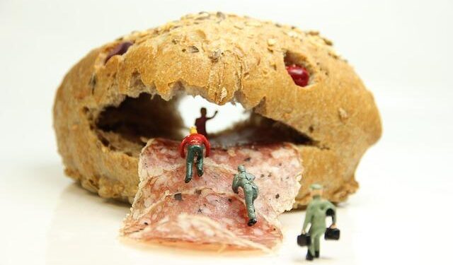 Wolf escapes zoo sparking huge search and school closure – The Independent