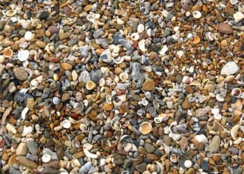 Shelly Kittleson leaves Iraq after release from captivity – NewsNation