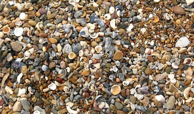 Shelly Kittleson leaves Iraq after release from captivity – NewsNation