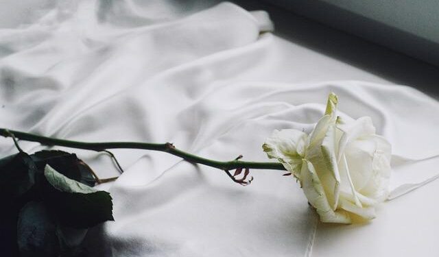 Rose Lavelle, Lindsey Heaps score to give USWNT a win over Japan – Orange County Register