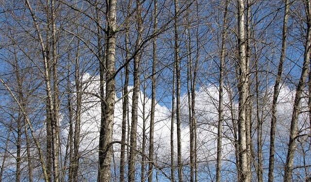 French court to rule on Lafarge funding of Syria jihadists – Yahoo