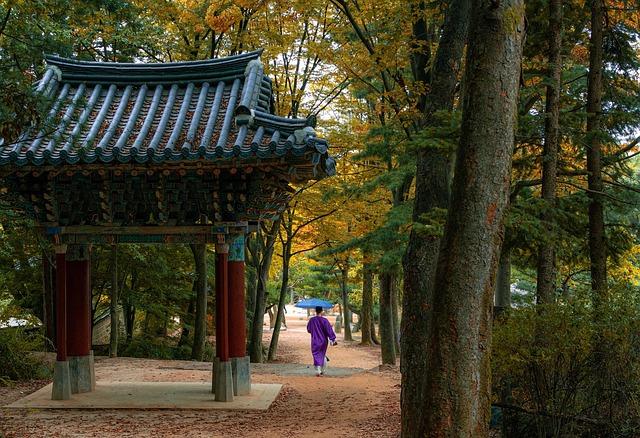 FEATURE: South Korean workers learn AI after work, outpacing their companies – Japan Wire by Kyodo News
