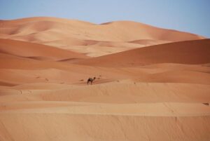 Morocco, South Korea Move Toward Comprehensive Economic Partnership Deal – Morocco World News