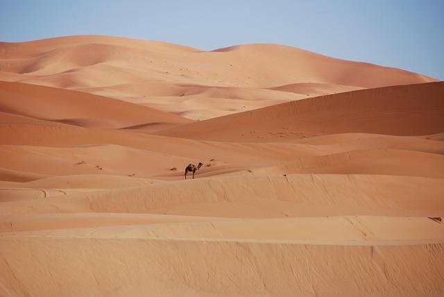 Morocco and South Korea Advance Toward Major Economic Partnership Agreement