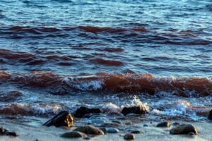 Hormuz tensions could accelerate Central Asia’s energy security push – Türkiye Today