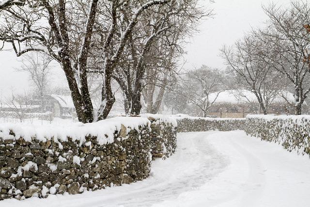 Tajikistan Braces for Intense Heavy Snowfall Ahead