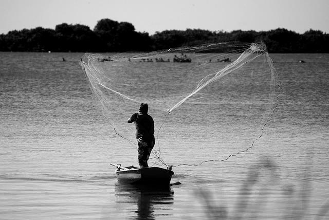 How Does This Fisheries Researcher Help In East Timor ? A Cookbook! – Forbes