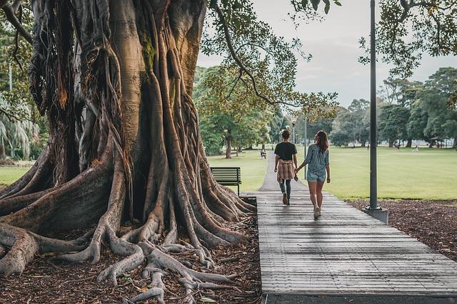 Discover the Magic of Mandai Banyan Tree Rainforest Resort at Singapore Zoo