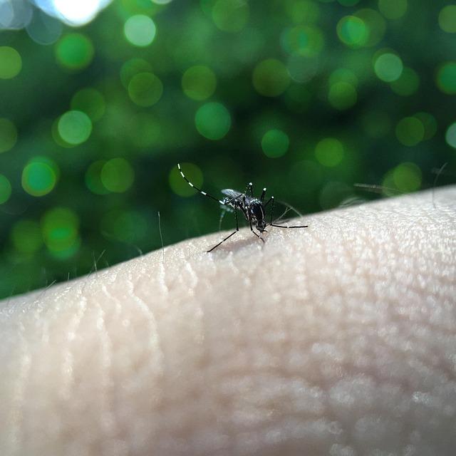 Bangladesh: Dengue crisis in Chittagong crosses 29,000 cases in five years – Nepalnews.com