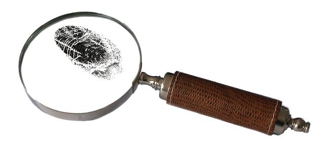 A Shocking, Decades-Long Crime, and the Search for Its Perpetrator – The New York Times