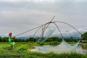 At least 50 people killed and 700,000 displaced by India floods after monsoon rains – AP News