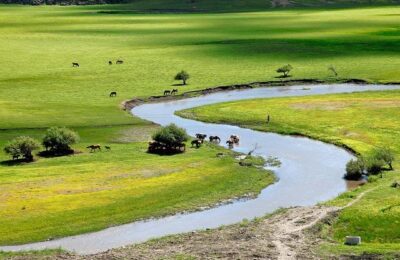 In Inner Mongolia, China’s Assimilation Campaign Moves Online – The Diplomat – Asia-Pacific