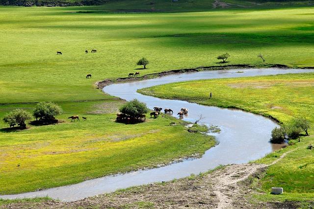 In Inner Mongolia, China’s Assimilation Campaign Moves Online – The Diplomat – Asia-Pacific