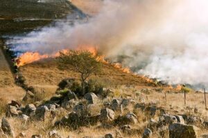 Gallery: Getting ready for the wildfire season in Cyprus – AirMed&Rescue