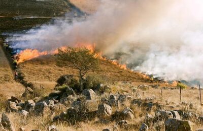 Gallery: Getting ready for the wildfire season in Cyprus – AirMed&Rescue