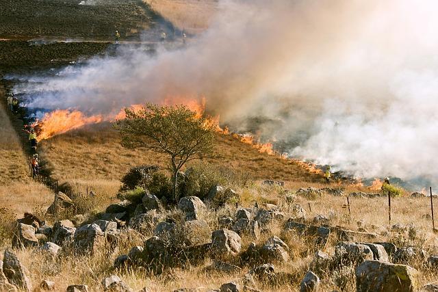 Gallery: Getting ready for the wildfire season in Cyprus – AirMed&Rescue