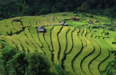 Moonfolks Expands into Vietnam, Welcomes Livio Grossi as CCO and Managing Partner