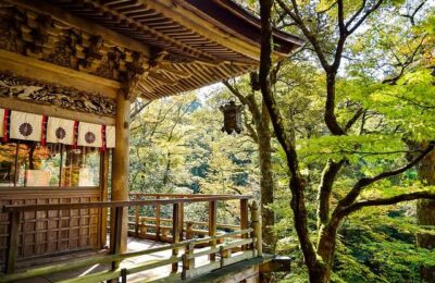 Japan eyes enhancing Japanese language support for foreign children – Japan Wire by Kyodo News