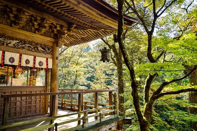 Japan eyes enhancing Japanese language support for foreign children – Japan Wire by Kyodo News